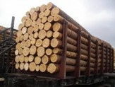 продам лесопромышленный комплекс