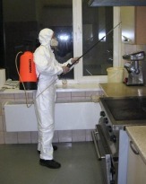 Избавим от насекомых и грызунов быстро и навсегда
