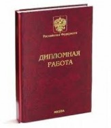 Дипломная работа