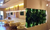 Особый "ЭКОлогичный" дизайн от GREEN TREE