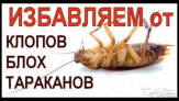 Уничтожения Тараканов Клопов